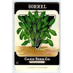 Sour Grass Sorrel 1920's Card Seed Co Packet EMPTY Vintage Fredonia New York NY